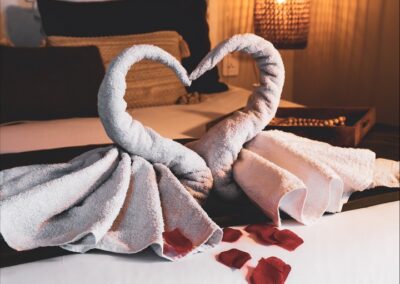 Chambres d’hôtes avec spa vers Beaumes-de-Venise